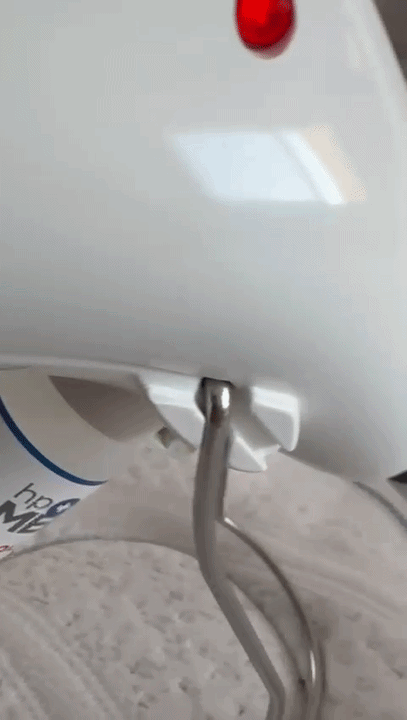 Traitement Punaises de lit